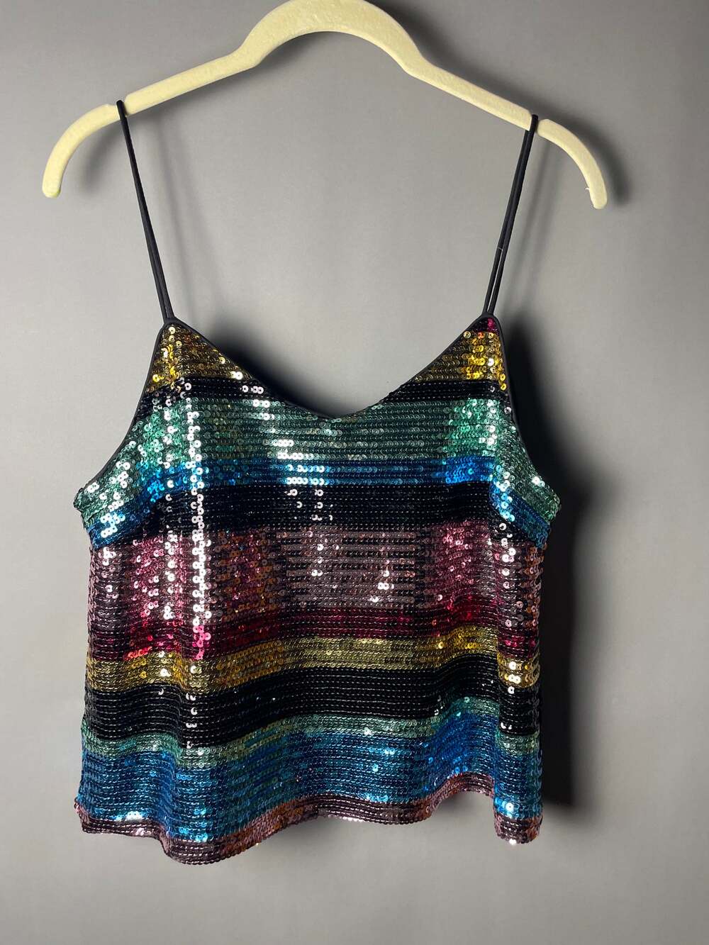 WAYF Multicolor Sequin Striped Cami Top Women's Medium